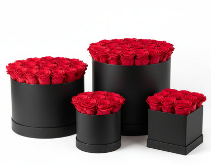 Single Eternal Rose Box - Circular