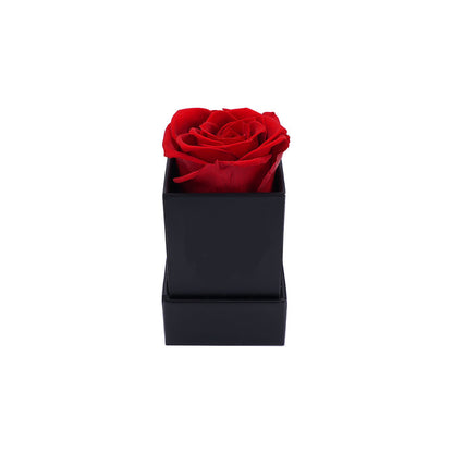 Single Eternal Rose Box - Cubed