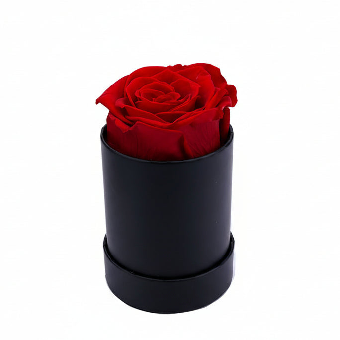 Single Eternal Rose Box - Circular