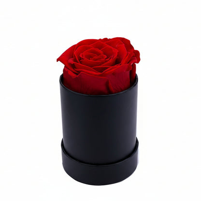 Single Eternal Rose Box - Circular
