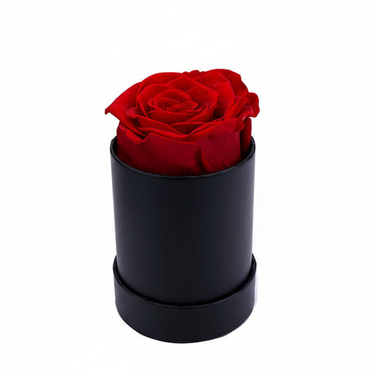 Single Eternal Rose Box - Circular