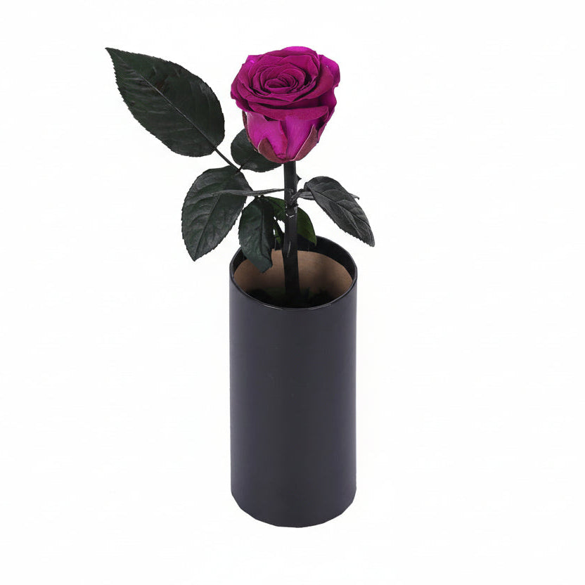 Classic Single Eternal Rose