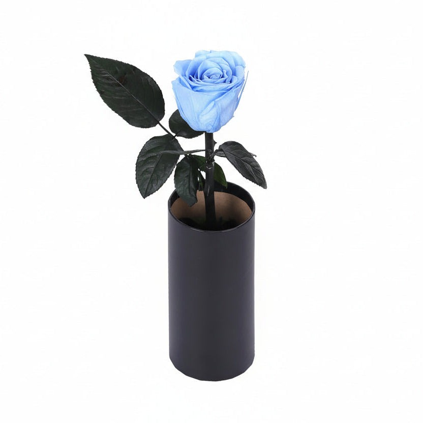Classic Single Eternal Rose