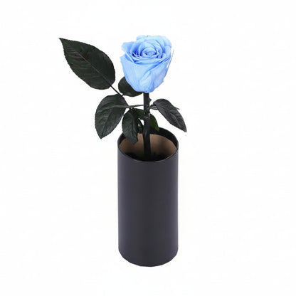 Classic Single Eternal Rose