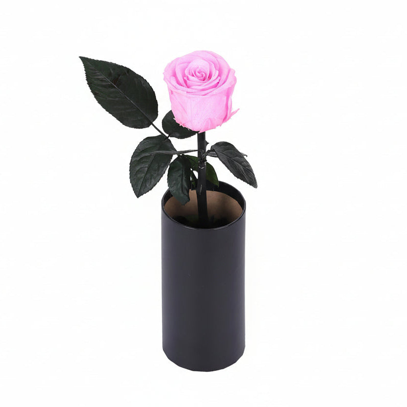 Classic Single Eternal Rose