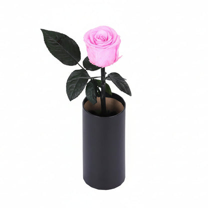 Classic Single Eternal Rose