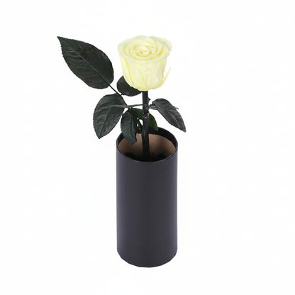 Classic Single Eternal Rose