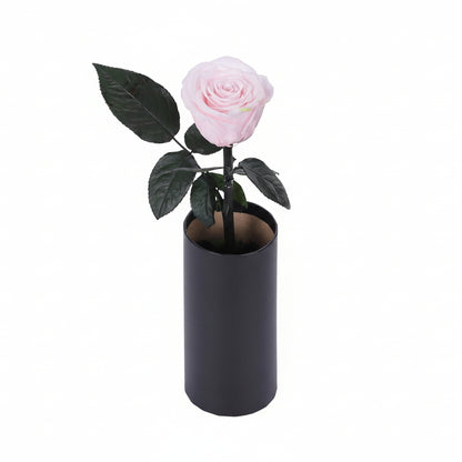 Classic Single Eternal Rose
