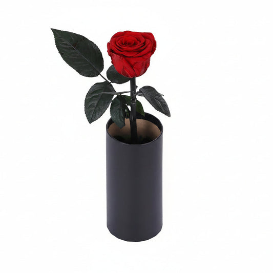 Classic Single Eternal Rose