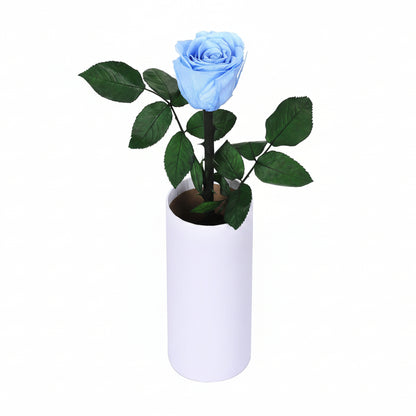 Classic Single Eternal Rose