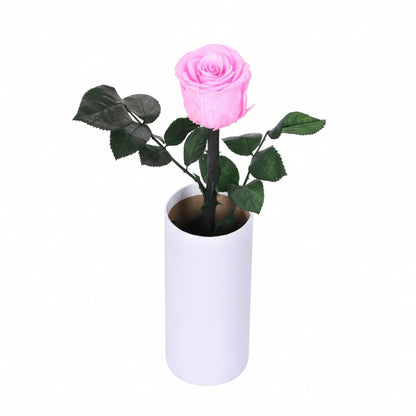 Classic Single Eternal Rose