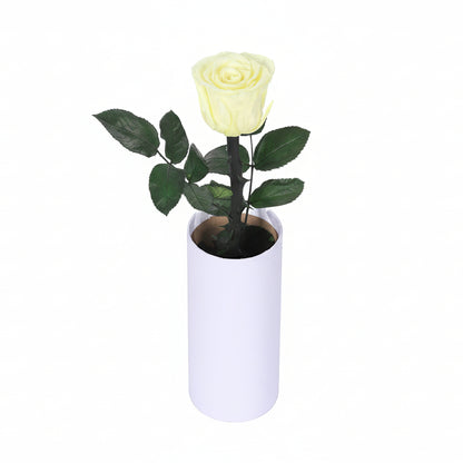 Classic Single Eternal Rose