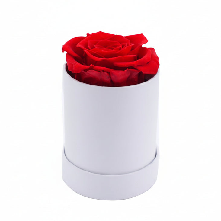 Single Eternal Rose Box - Circular